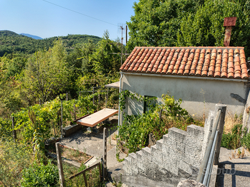 Terreno agricolo con magazzino e casetta
