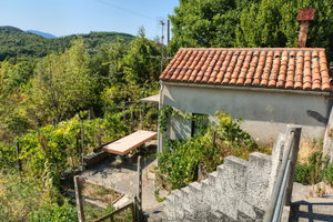 Terreno agricolo con magazzino e casetta