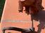 Immagine 4