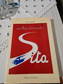 Trasporti - un Bus chiamato Sita