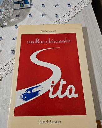 Trasporti - un Bus chiamato Sita