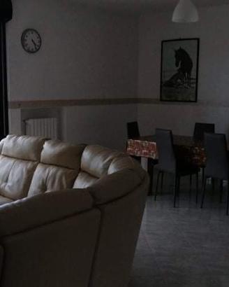 Singola in appartamento ampio e luminoso