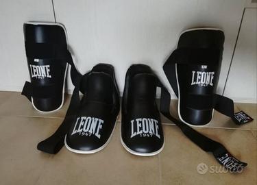 Paratibie Leone