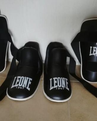 Paratibie Leone