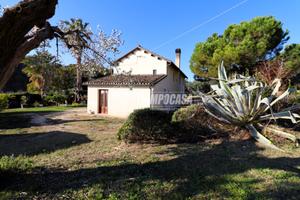 Casolare con terreno vista mare