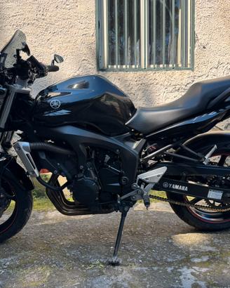 Yamaha FZ6 Black Edition 2005