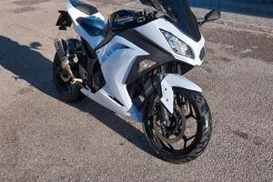 kawasaki ninja 300