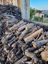 Legna di olivo per camino già tagliata
