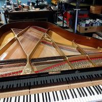 Accordatore di pianoforti in Nord Italia