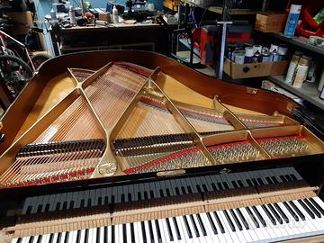 Accordatore di pianoforti in Nord Italia