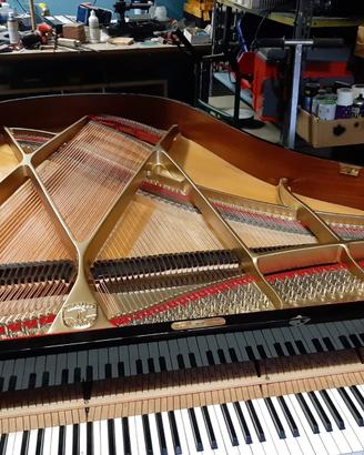 Accordatore di pianoforti in Nord Italia