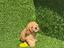 Immagine 6