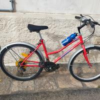 Bicicletta Atala Mountain bike Uomo/Donna