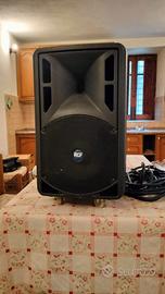 RCF Art 310A (anche coppia)