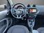 Immagine 14
