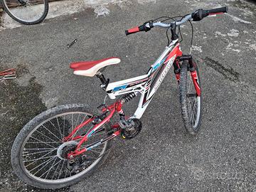 Coppia Bici Mtb 24