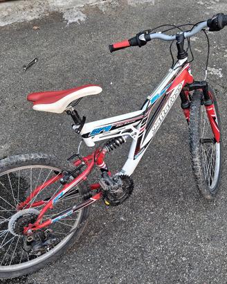 Coppia Bici Mtb 24