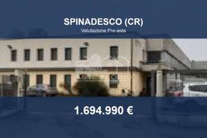 Immobile in asta di 2247 m² a Spinadesco