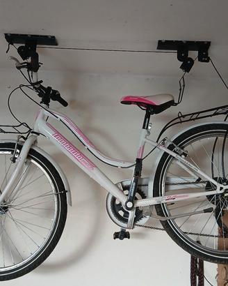 bicicletta 