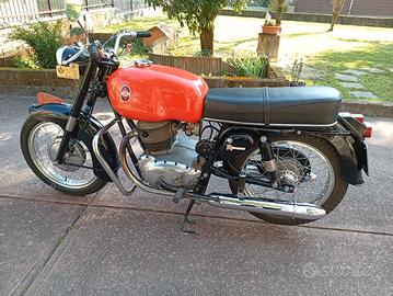 Gilera 300 B extra 