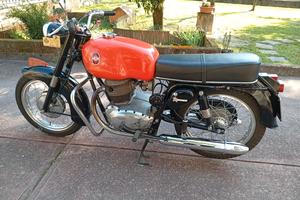 Gilera 300 B extra 