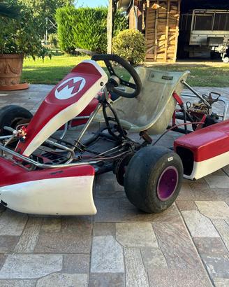 Go-Kart Solo Telaio Tema Mario Kart