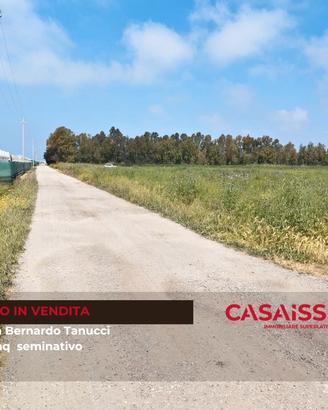 Terreno agricolo seminativo irriguo 28.000