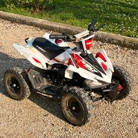 Quad elettrico 36v con retromarcia VIKY Italy