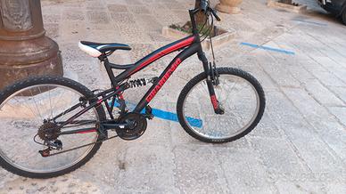 bici da montagna 