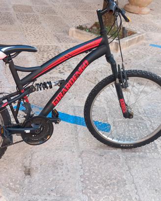 bici da montagna 