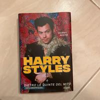 Harry Styles dietro le quinte del mito