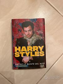 Harry Styles dietro le quinte del mito