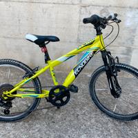 Bicicletta da bambino 20