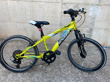 Bicicletta da bambino 20