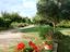 Immagine 6