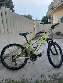 mountain bike TECHNOLOGY DESIGN