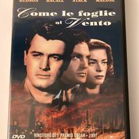 DVD film - Come le foglie al vento