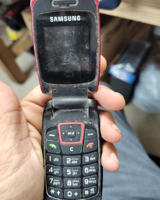 Samsung sgh c270 Red e c260 celeste 