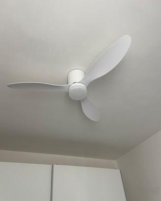 Ventilatore a soffitto