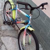bicicletta bimbo 20 pollici 