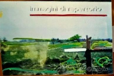 Mario Schifano Foto Ritoccata Paesaggio