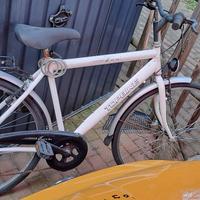 City bike da uomo TOP BIKE
