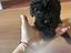Immagine 3