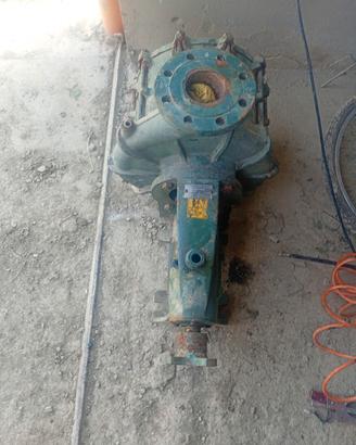 pompa irrigazione caprari