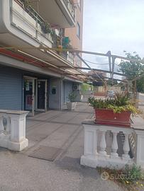 Bar in gestione Ciampino
