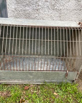 Gabbia x trasporto animali