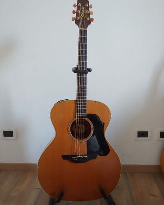 Takamine EN 20