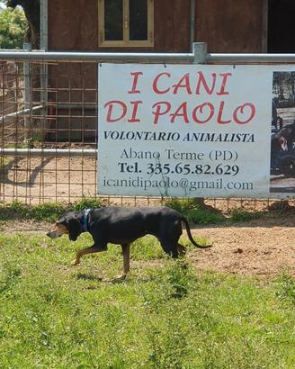 Tullia 10 anni