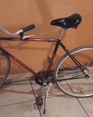 BICICLETTA UOMO