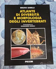 Atlante degli invertebrati